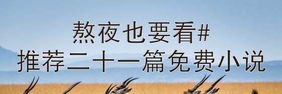 熬夜也要看#推薦二十一篇免費小說
